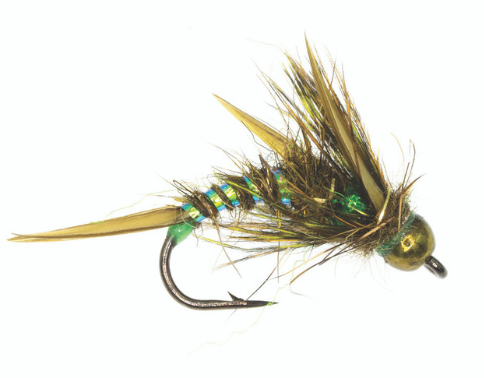 Craven’s Problem Child Olive