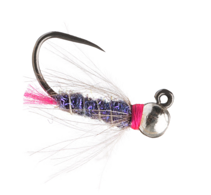 Hot-Collar Blowtorch Purple
