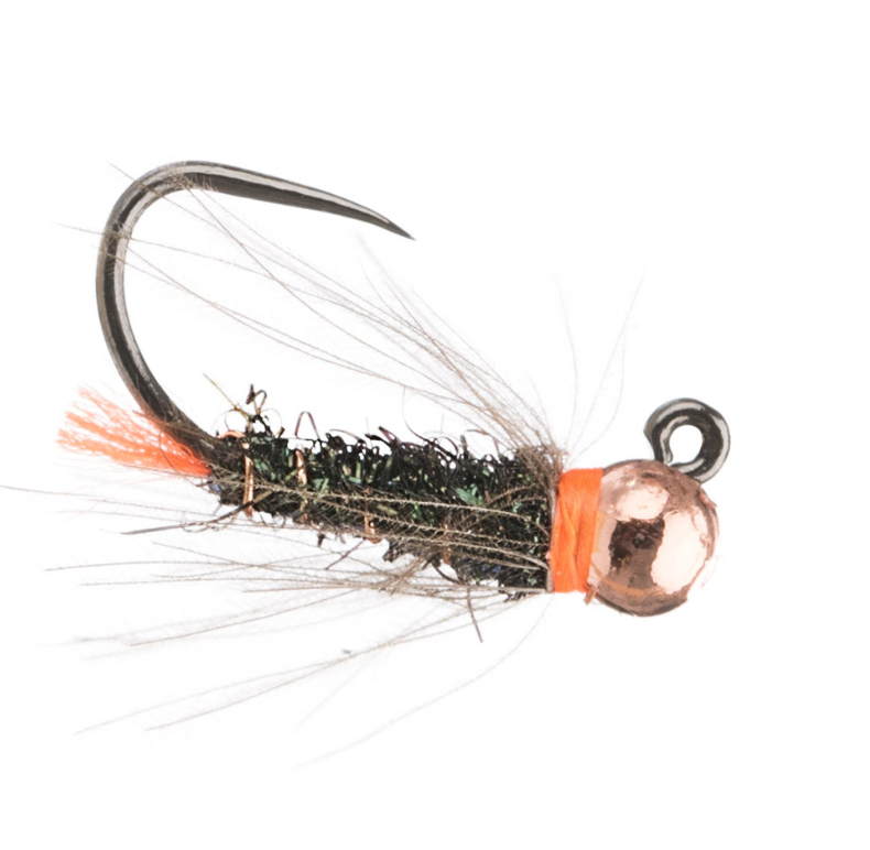 Hot-Collar Blowtorch Peacock