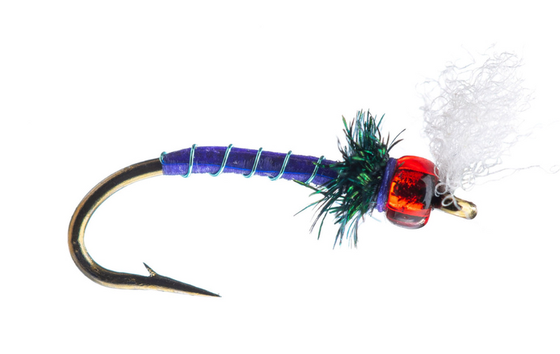 Rojo Midge Purple