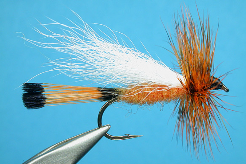 Orange Trude