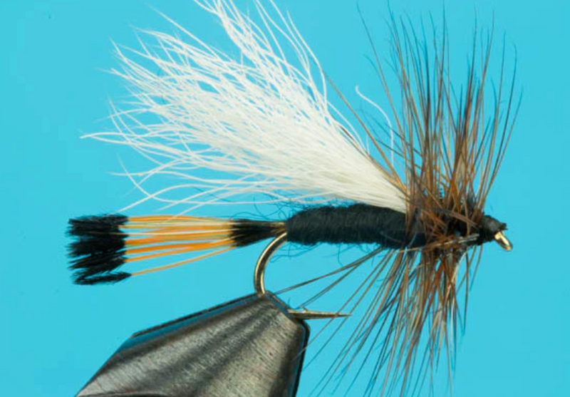 Rio Grande King Trude