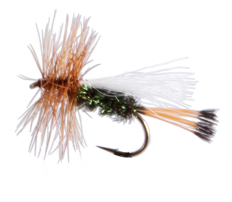 Peacock Trude