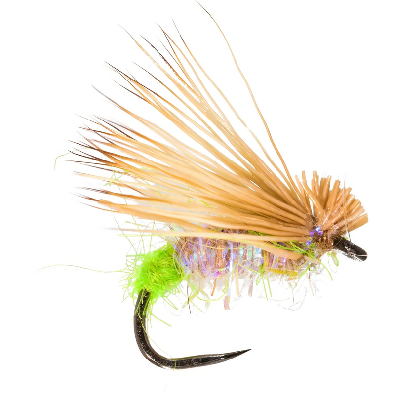 Grannom Caddis Light