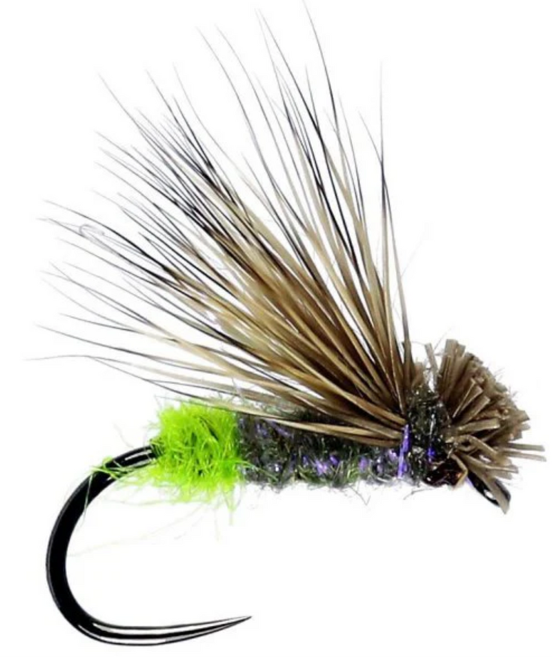 Grannom Caddis