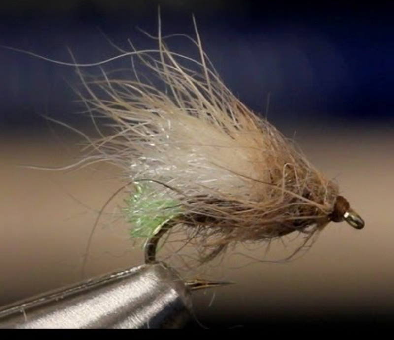Egg-Laying Caddis Pupa Emerger