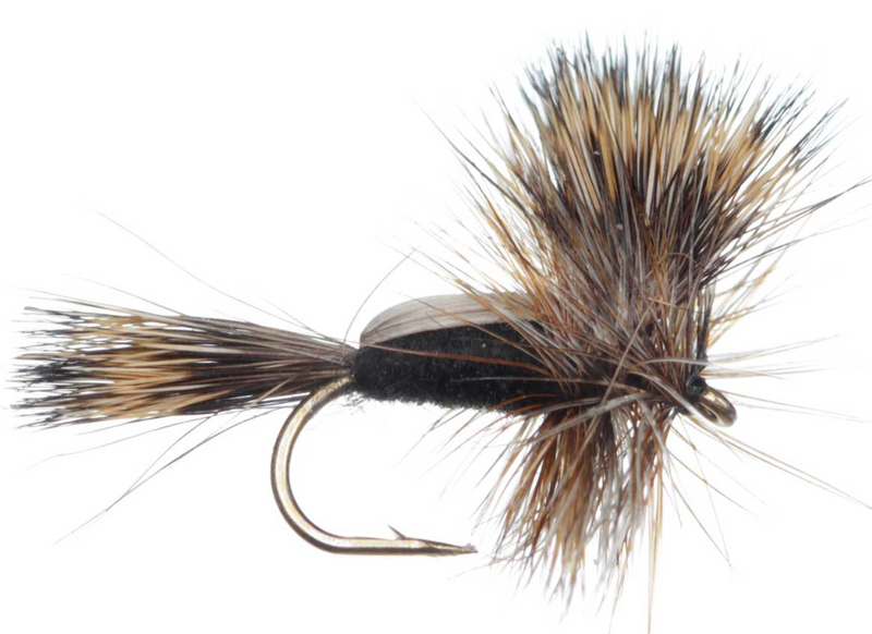 Humpy Black
