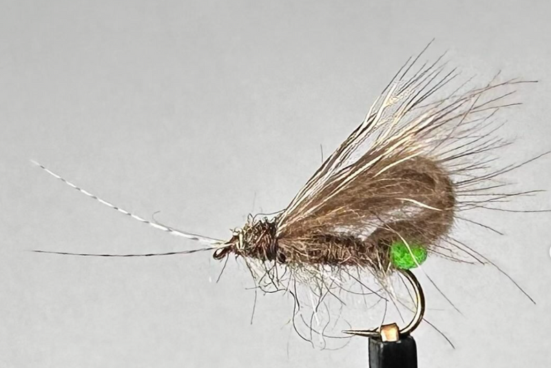 Loopwing CDC Grannom Caddis