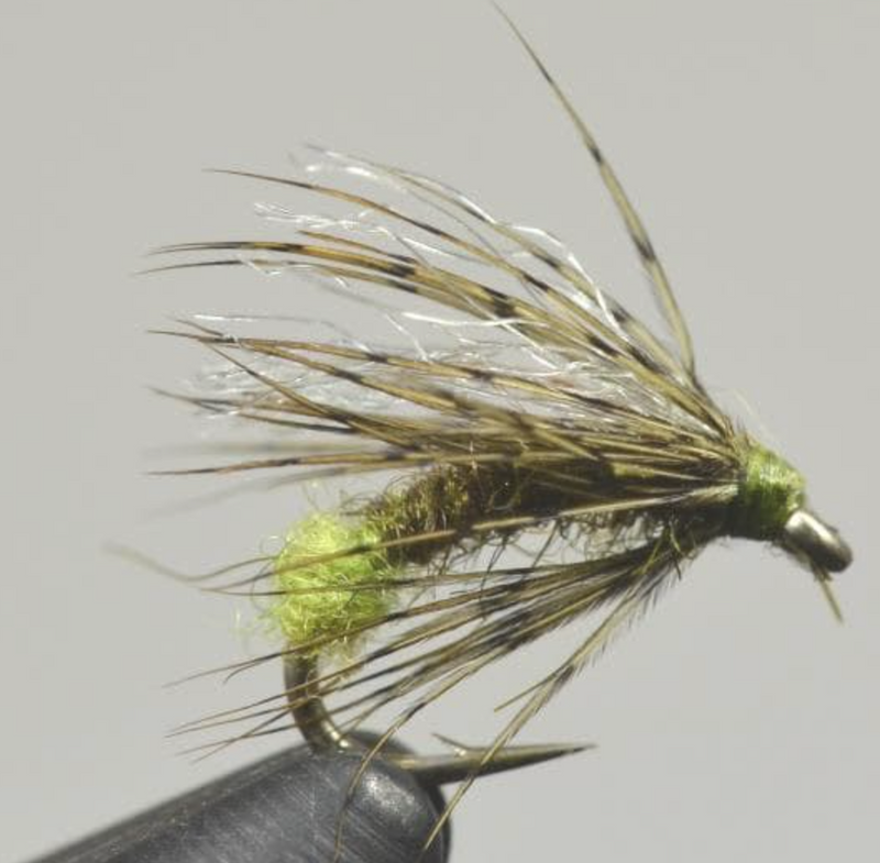 Galloup's Downed Caddis Olive