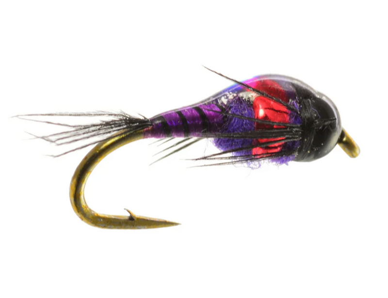 Two-Bit Hooker Purple