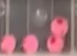 BeadHead Glo Bug Baby Pink/Flame