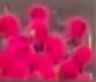 Glo Bug Cerise/Flame