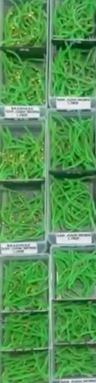 BeadHead San Juan Worm Lime
