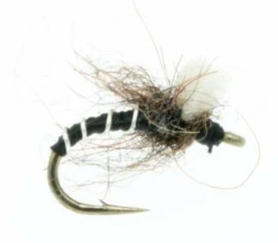 Massacre Midge Black
