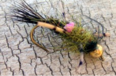 Kern Emerger