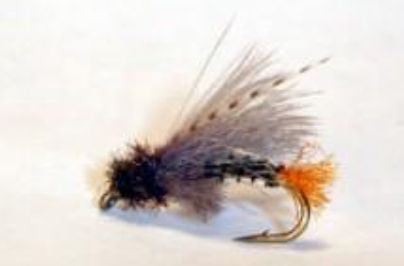 X-Caddis Cripple