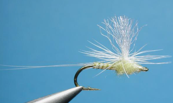 PMD Biot Parachute