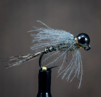 Jigged Assassin