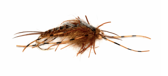 Nemec Stonefly