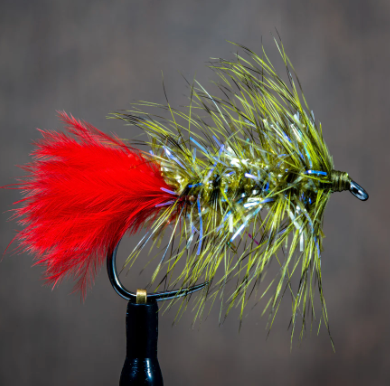 Pyramid Bugger Martini Olive