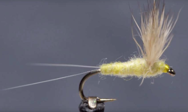 Comparadun Sulphur
