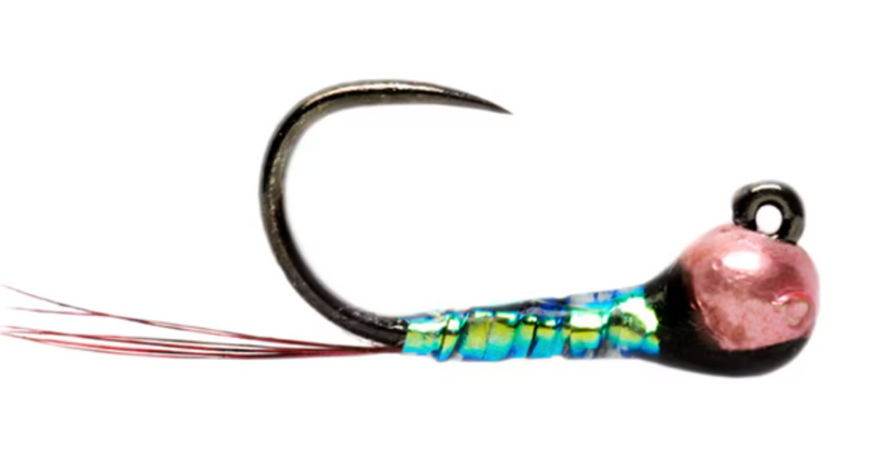 Oil-Slick Perdigon