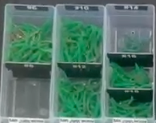 BeadHead San Juan Worm Green