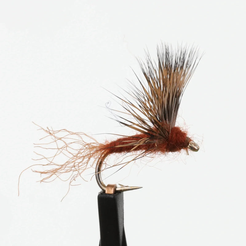 Sparkle Dun Rust