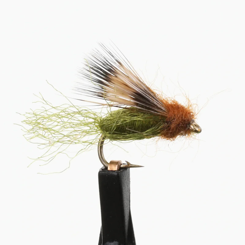 Deep Sparkle Pupa Olive
