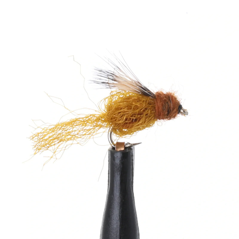 Sparkle Pupa Rust