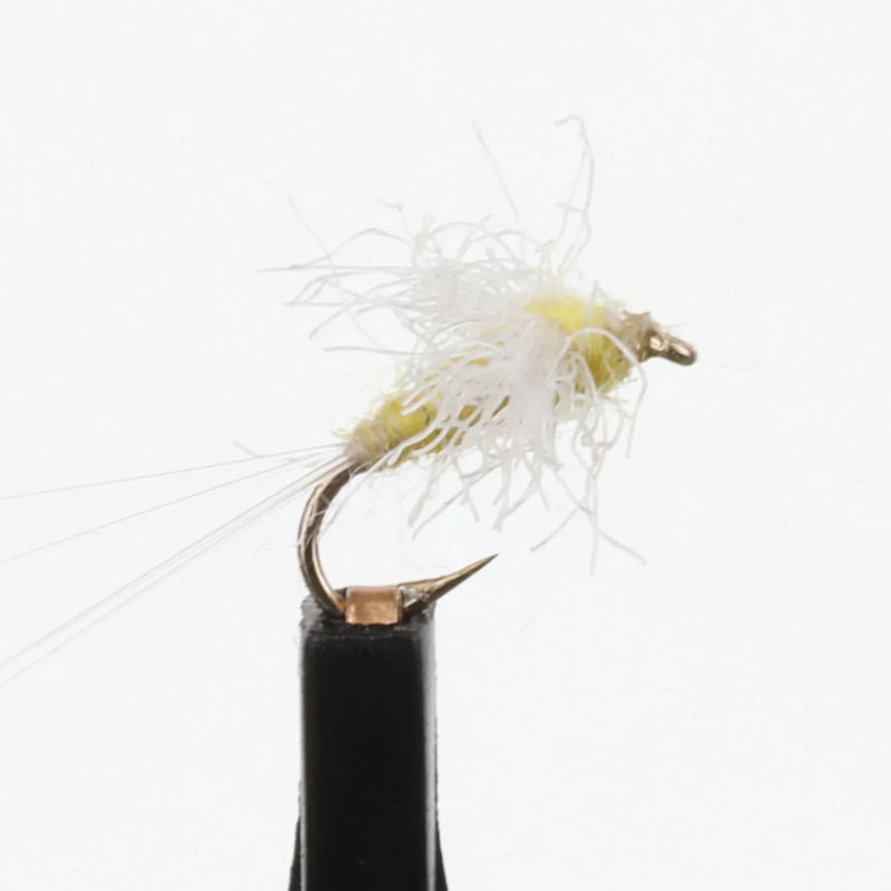 Sulphur Spinner Light