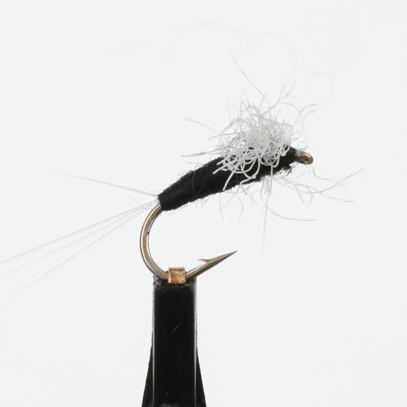Trico Spinner Male