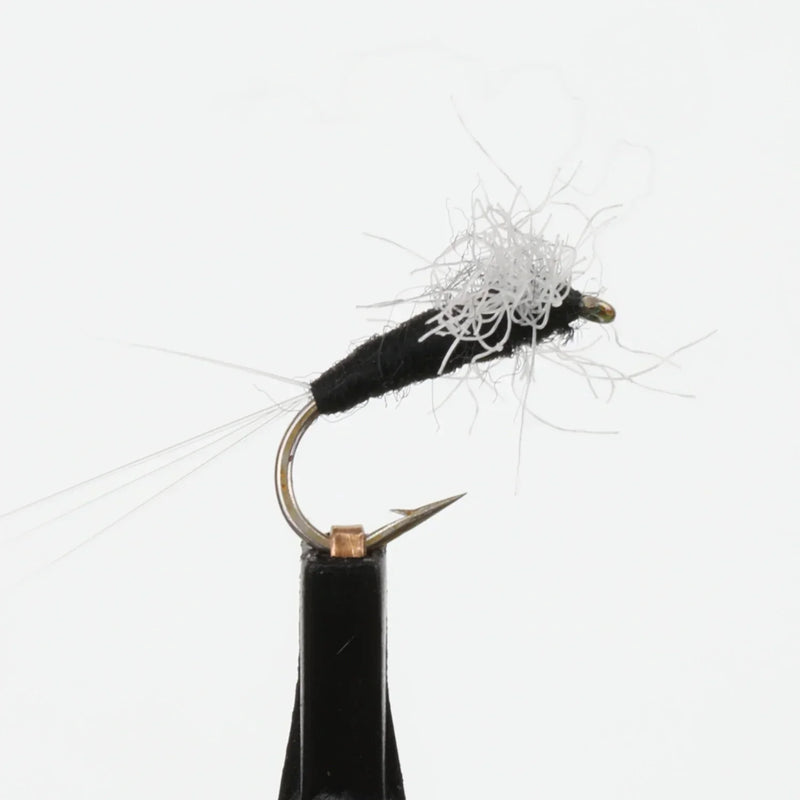 Trico Spinner Male