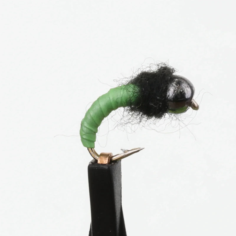 Tungsten Caddis Pupa