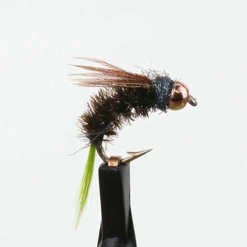 Tungsten Peeping Caddis Peacock