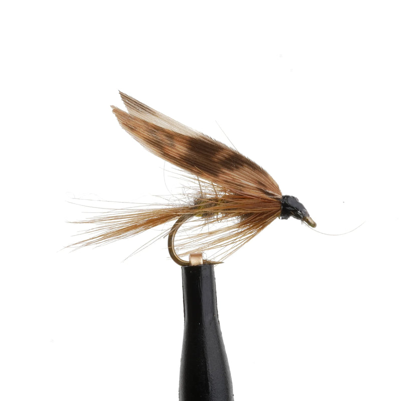 March Brown 2 Natural