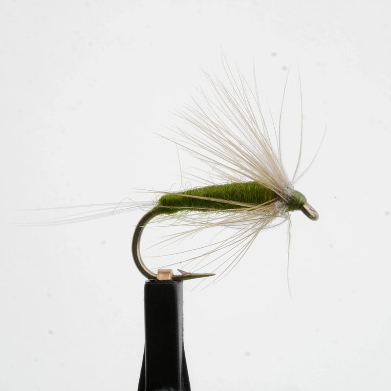SpunDun Olive
