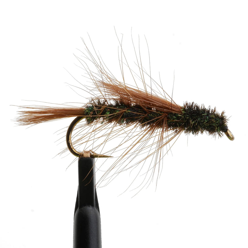Carey Special Peacock Natural