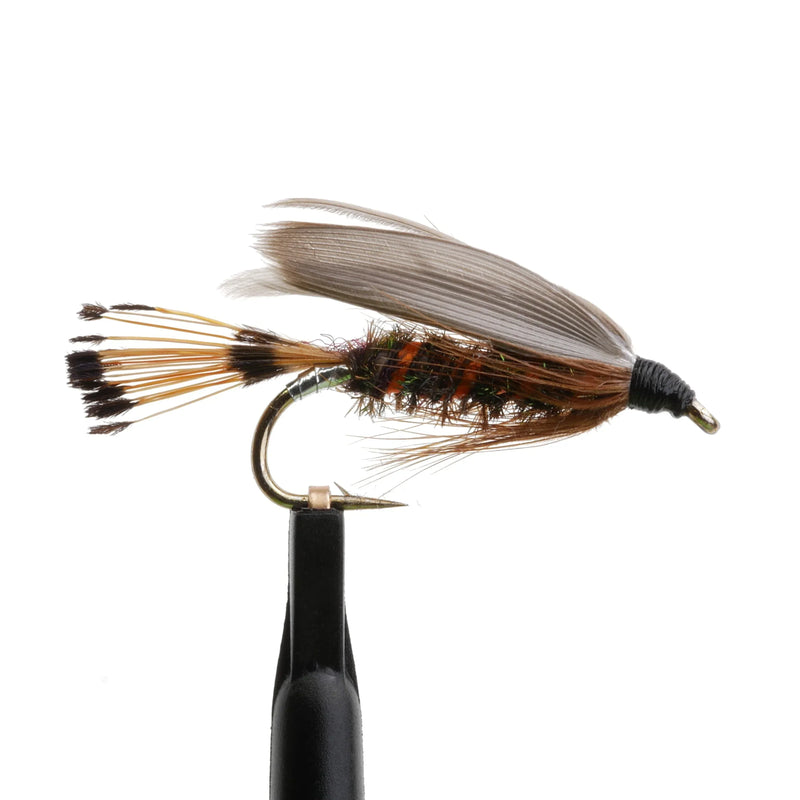 Leadwing Coachman Wet Fly