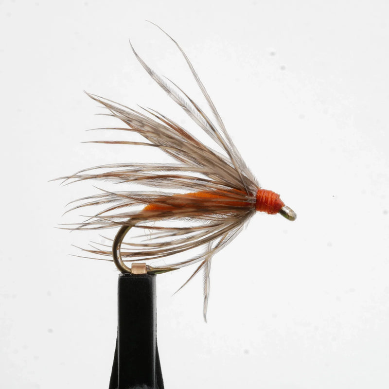 Partridge & Orange