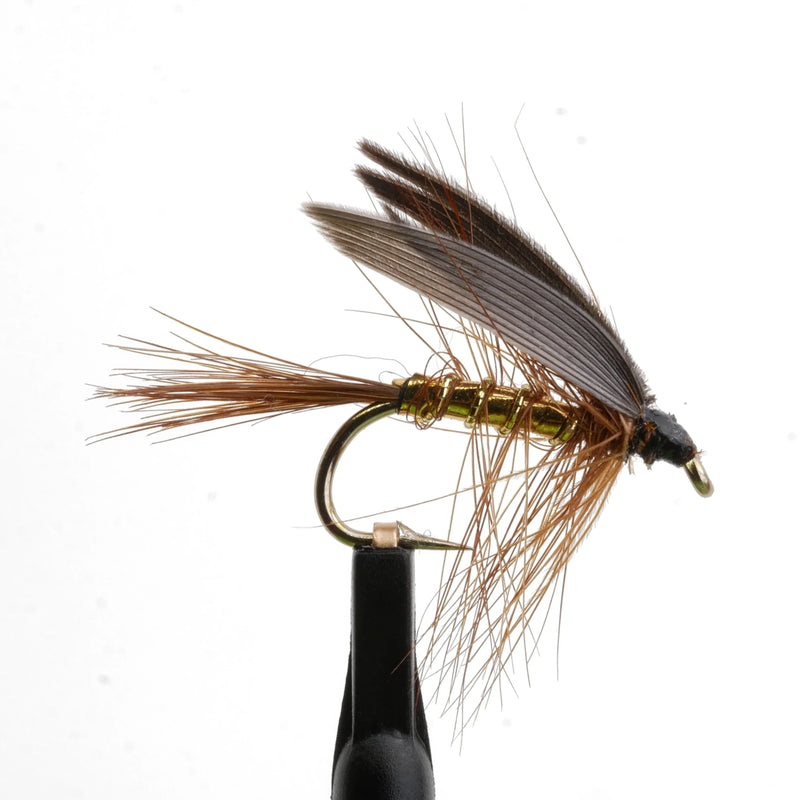 Wickham's Fancy