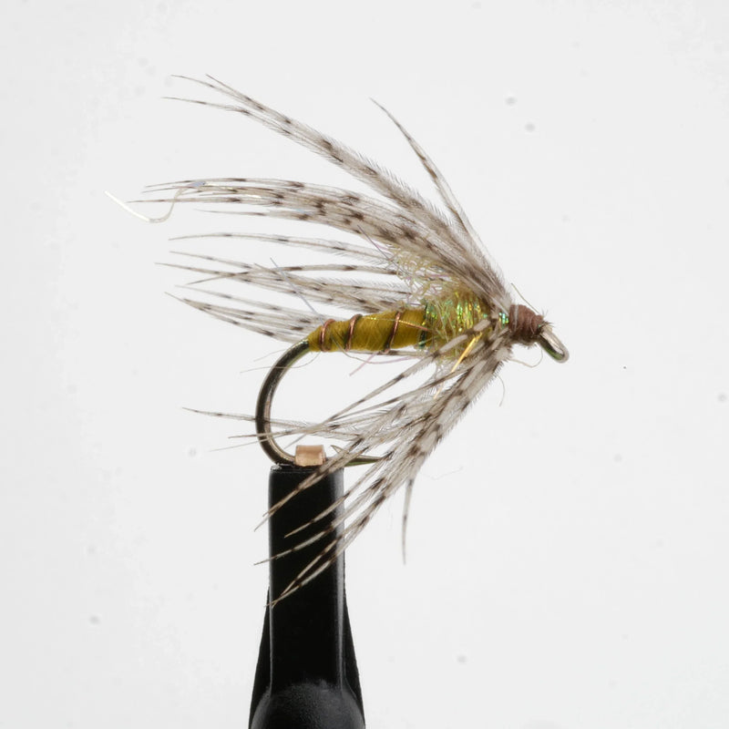 Partridge & Yellow