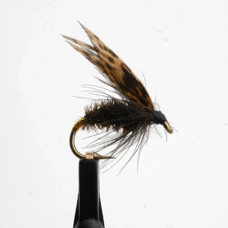 Alder Wet Fly Natural