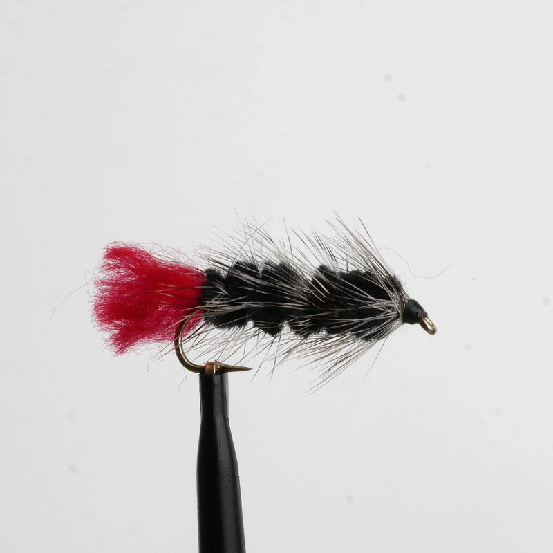 Woolly Worm Black