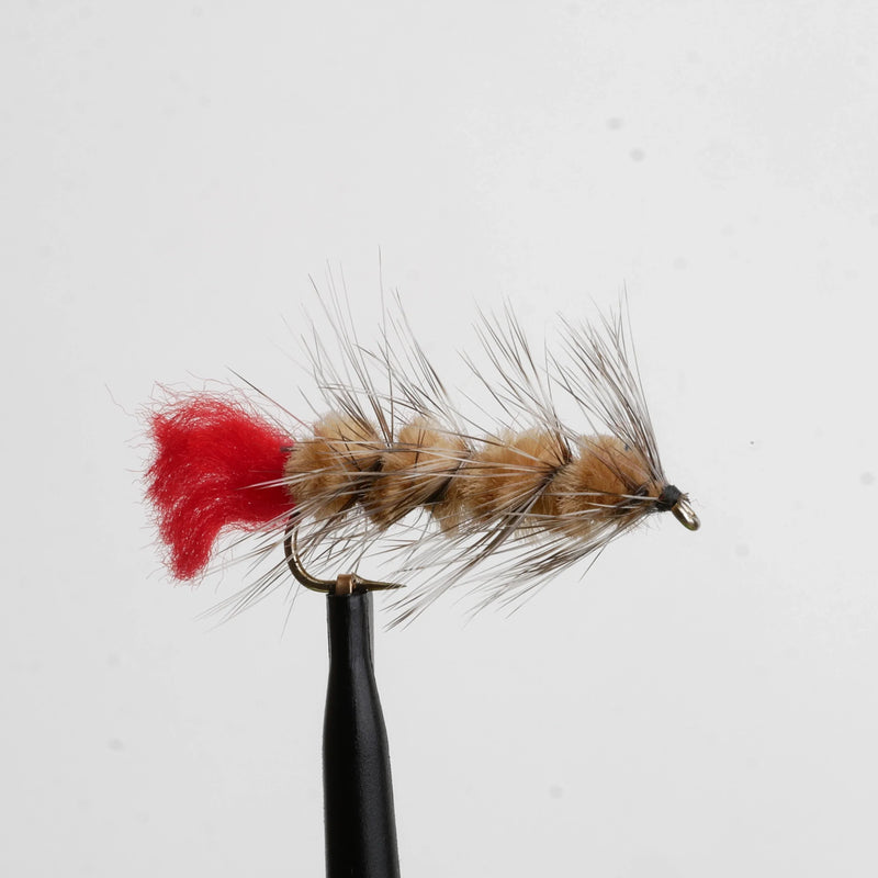 Woolly Worm Brown