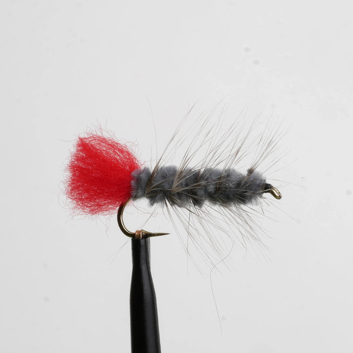 Woolly Worm Gray