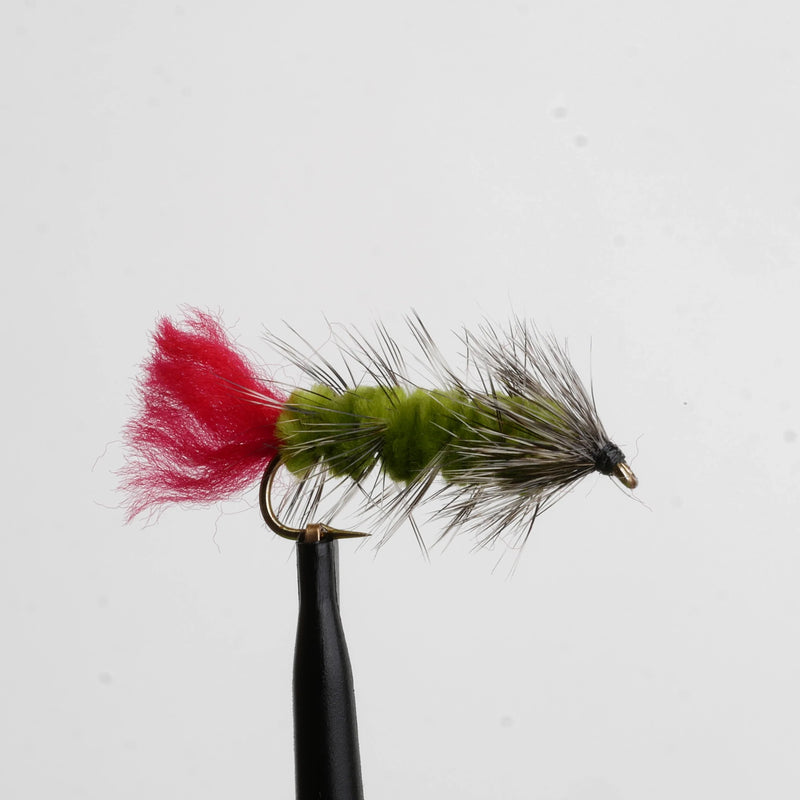 Woolly Worm Olive