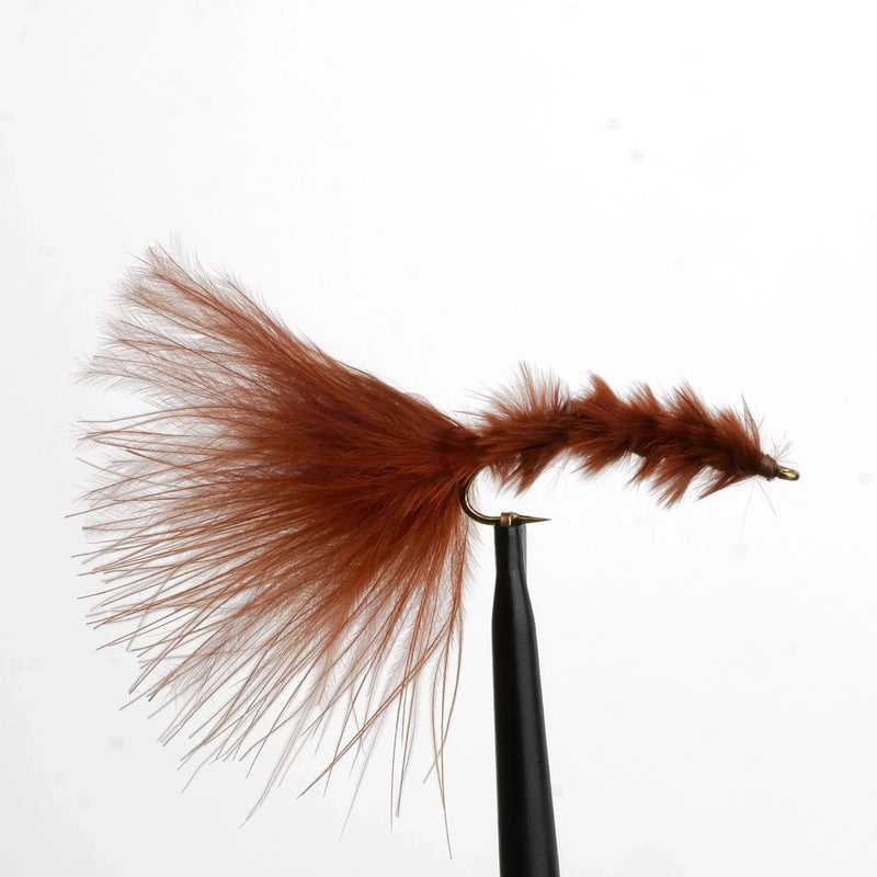 Leech Bugger Brown