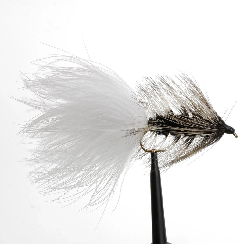 Manta Minnow Black