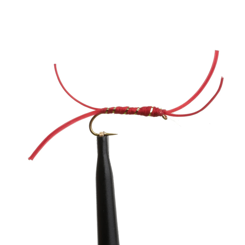 Ribbed Apps Bloodworm Red
